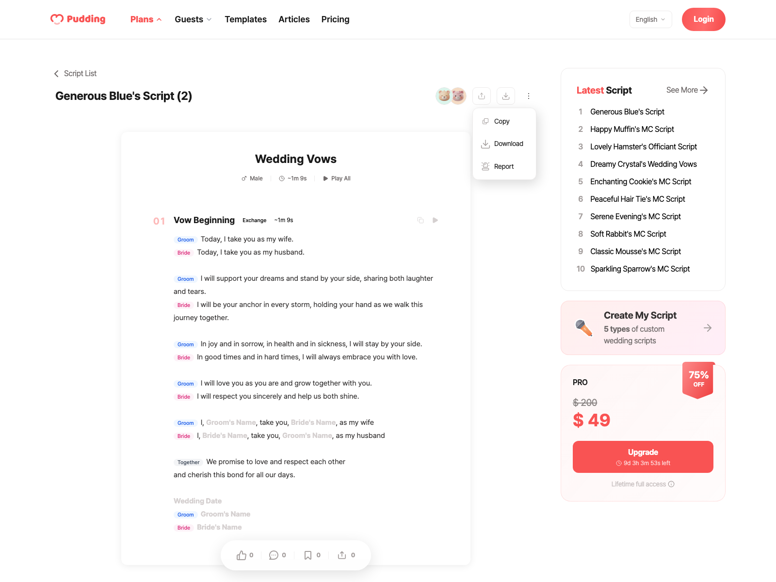 Script download modal
