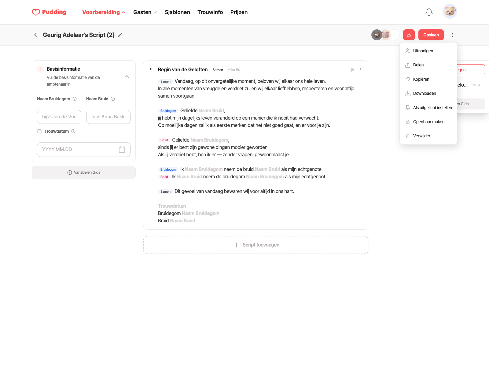 Script download modal